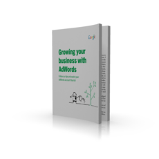 Growing Your Business With AdWords - Google