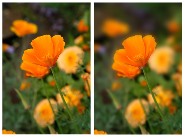 Normal (left) vs. macro mode (right).