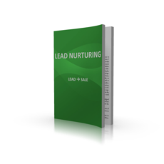 Lead Nurturing - Tobias Pasma